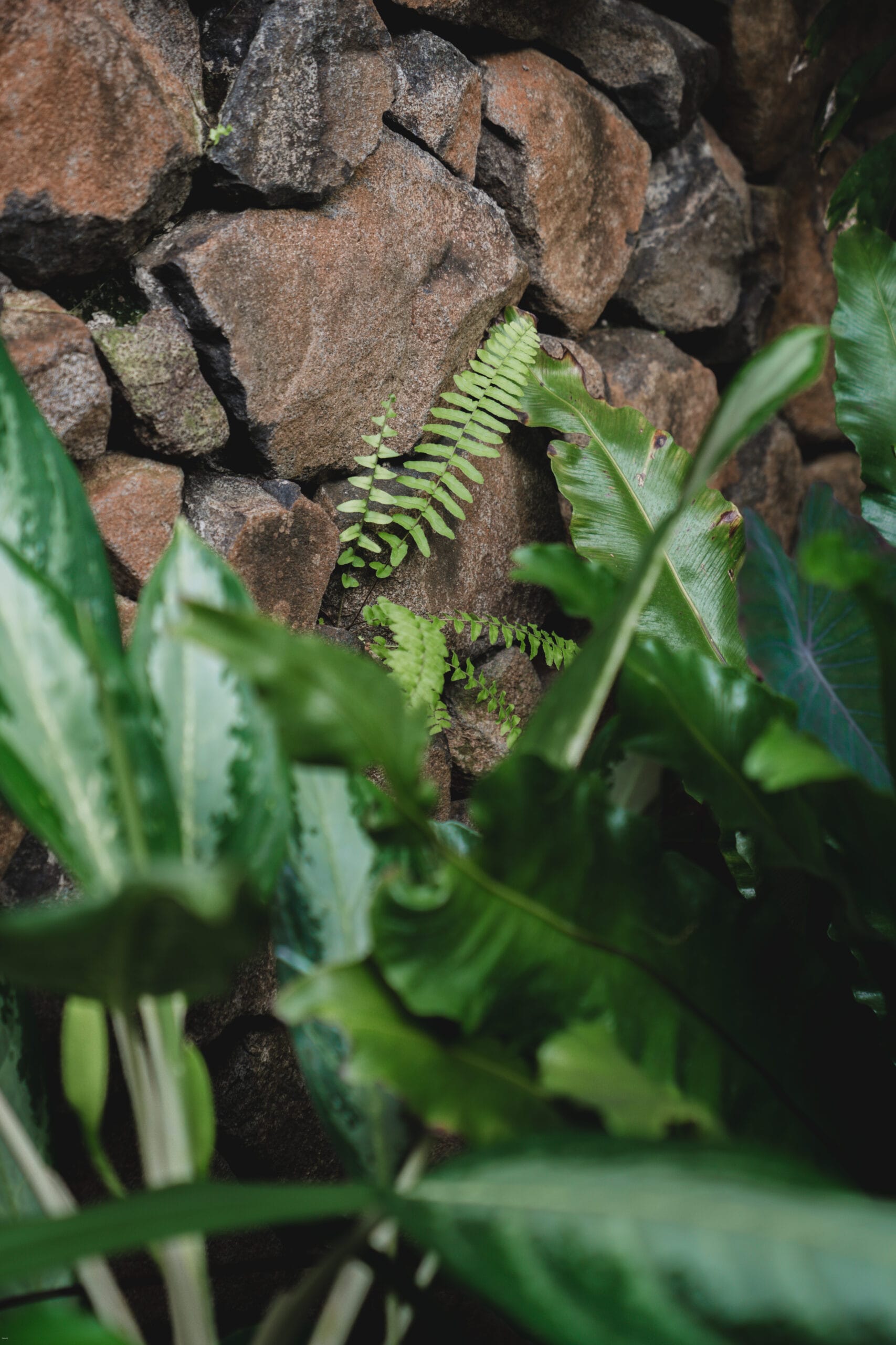 évaluation immobilière Aix-en-Provence